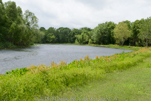 Brazos Bend State Park, TX, USA